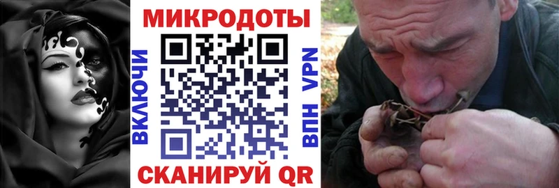 блэк спрут рабочий сайт  Кашин  Псилоцибиновые грибы GOLDEN TEACHER  даркнет сайт 