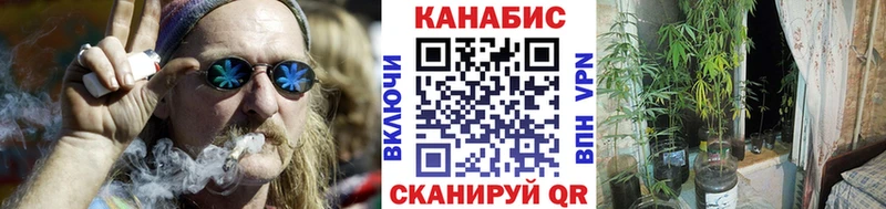 закладка  Кашин  Марихуана гибрид 
